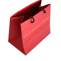 Gift Paper Bags